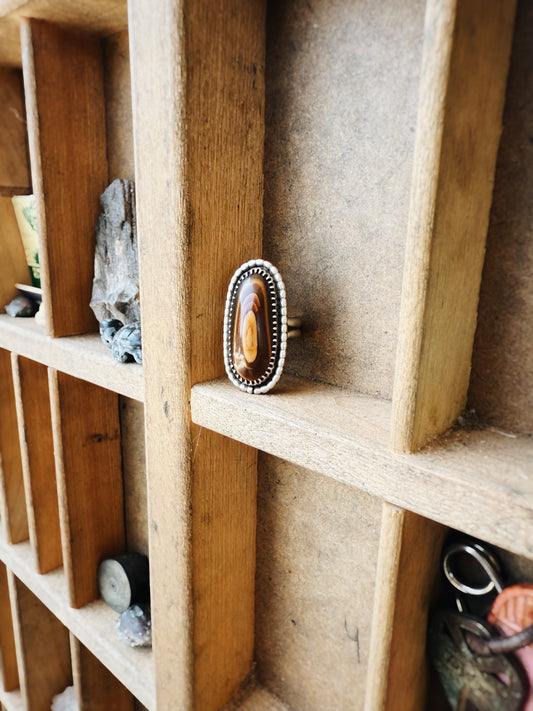 ANTIQUE PETRIFIED WOOD RING